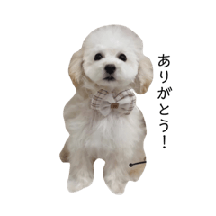 melon_20230625094816