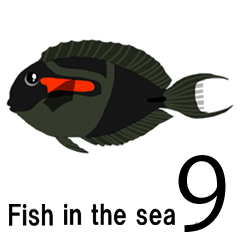 fish in the sea 9