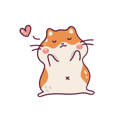 cute hamster daily life