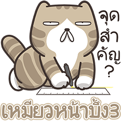 Juai Juai Cat 3 (Thai version)