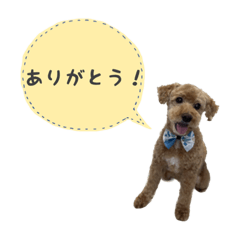 yun_20230625084207
