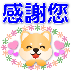 Cute Shiba Inu-Practical Greetings*