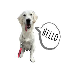 kinaco_20230624225231