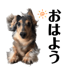 aoi_20230624230422