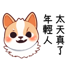 柯基都不柯基了