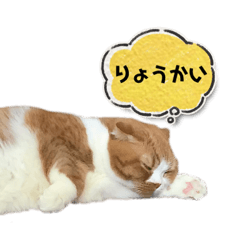 nyackson_20230624185057