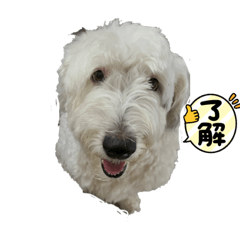 HANA_20230625153249