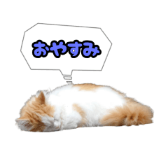 ミル君スタンプ