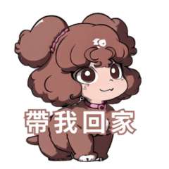 BrownPoodle Hong