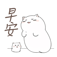 Cute fat white cat's daily greetings