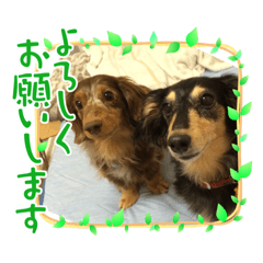 SHIHO_20230625192005