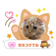 NAO_Miru2