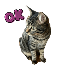 arisa_20230625192356