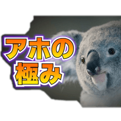 kana_20230626084102