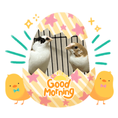 SAYURI_20230625214517