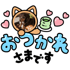 SHIHO_20230625191422