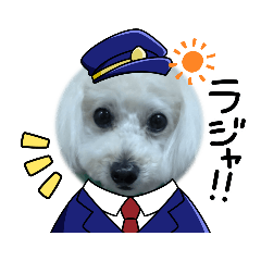 yukari_20230626121308