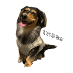 natsumi_20230626122814