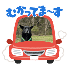 isshoumennkyoukaranee