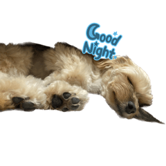 SAYURI_20230626122332