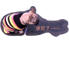 hana_20230625195247