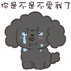 black poodle Emotional Blackmail Chapter