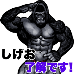 Shigeo dedicated macho gorilla sticker