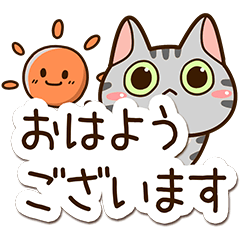 Sticker of American shorthair Cat.3