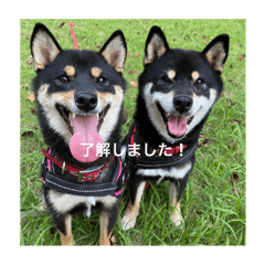 hikari_20230626204212