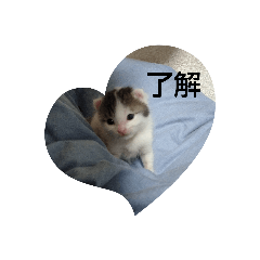 yuto_20230626202857