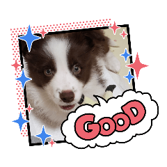 shiho_20230626215730