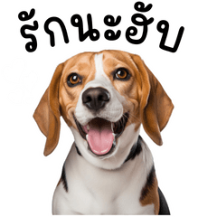 Be Friend Beagle