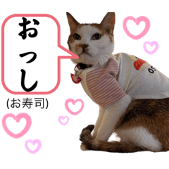 kaede_20230626233324