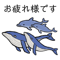 クジラとイルカ②