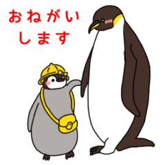 Emperor Penguin Family