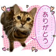 Leo Stickers 01