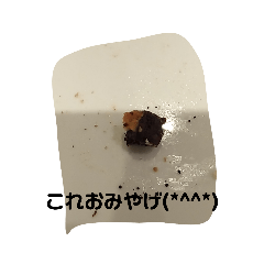 fumichoco_20230626203443