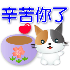 Q Calico cat-Practical Greeting Phrase