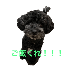 hana_20230628083218