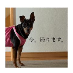 SAKURA_20230628021440