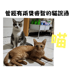 哈比與他的快樂夥伴斑比