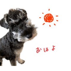 hana_20230627172420