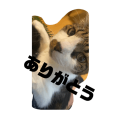 hana_20230628100437