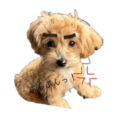 shiho_20230628141506