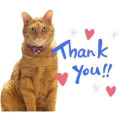 sakura_20230627214605