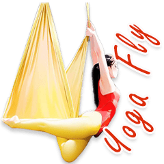 Aerial Yoga 2D