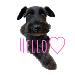 SHIHO_20230629070256