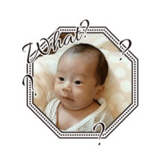 Hikari_20230628200514