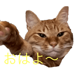 Yuga_20230628224455