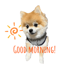 nilanila_20230629012932